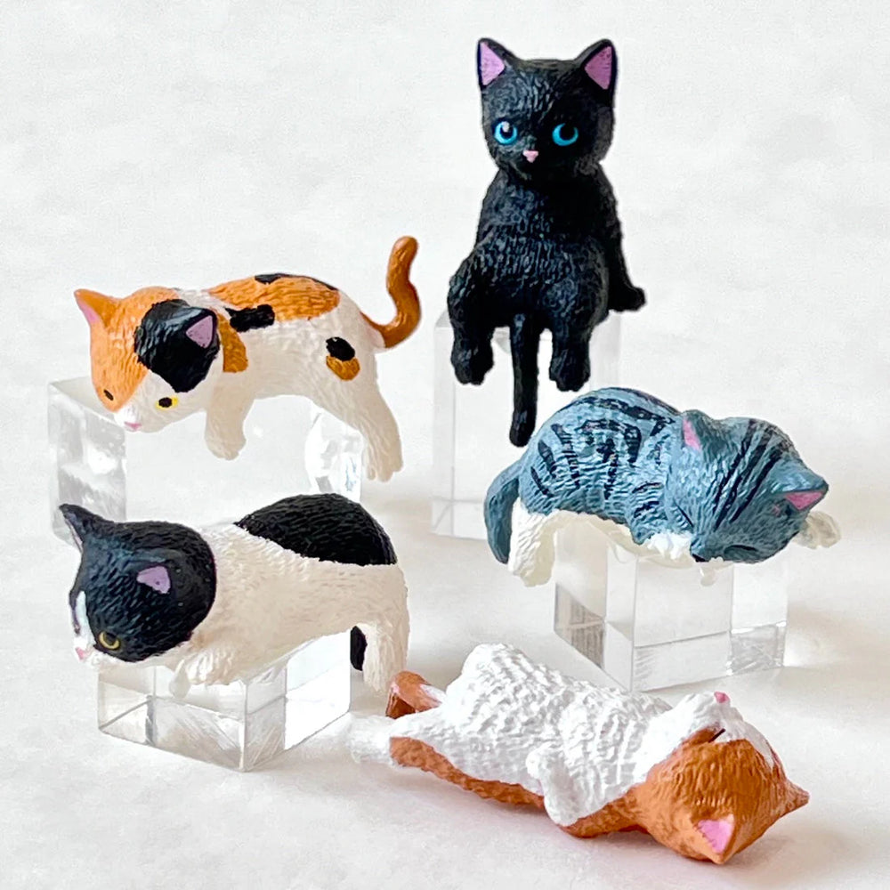 Resting Cats Blind Box