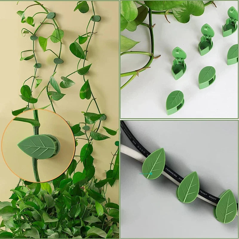 10/30/50Pcs Plant Climbing Wall Fixture Clips Rattan Vine Fixer Self-Adhesive Hook Invisible Garden Binding Clip Wall Stickyclip