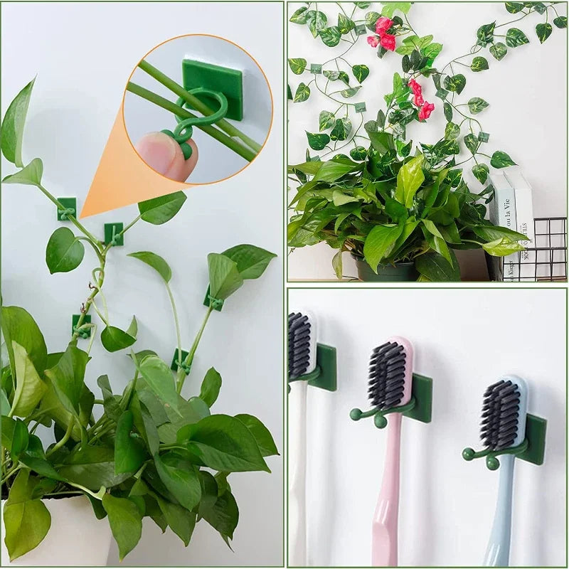 10/30/50Pcs Plant Climbing Wall Fixture Clips Rattan Vine Fixer Self-Adhesive Hook Invisible Garden Binding Clip Wall Stickyclip