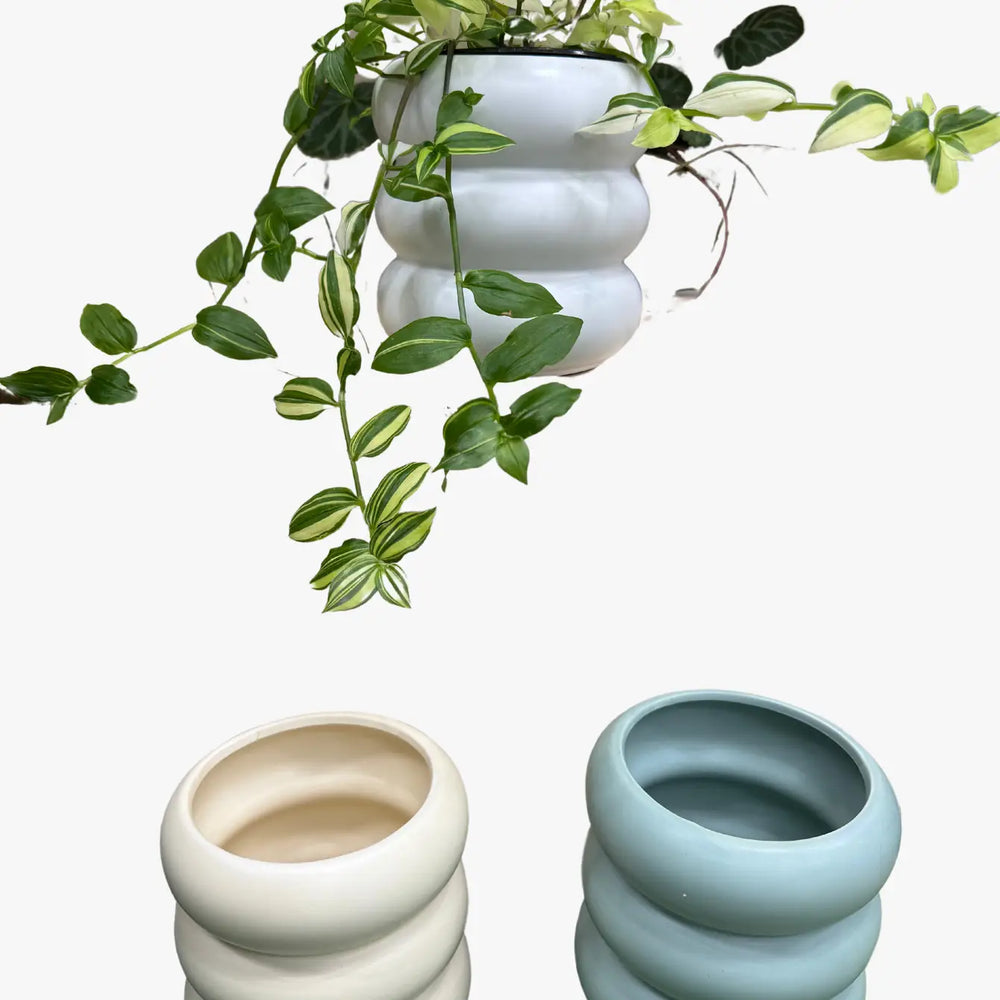 Color Ribbed Planter