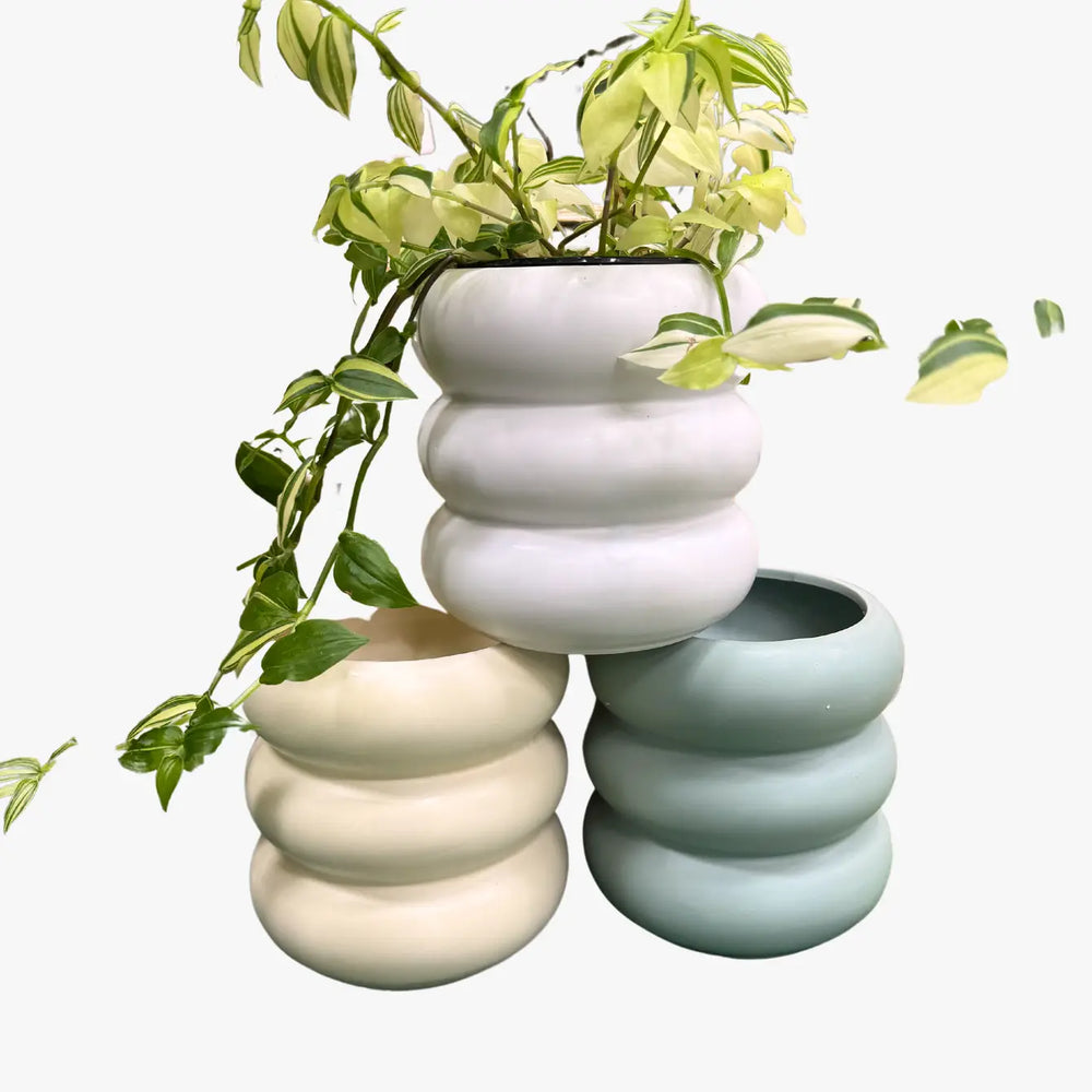 Color Ribbed Planter