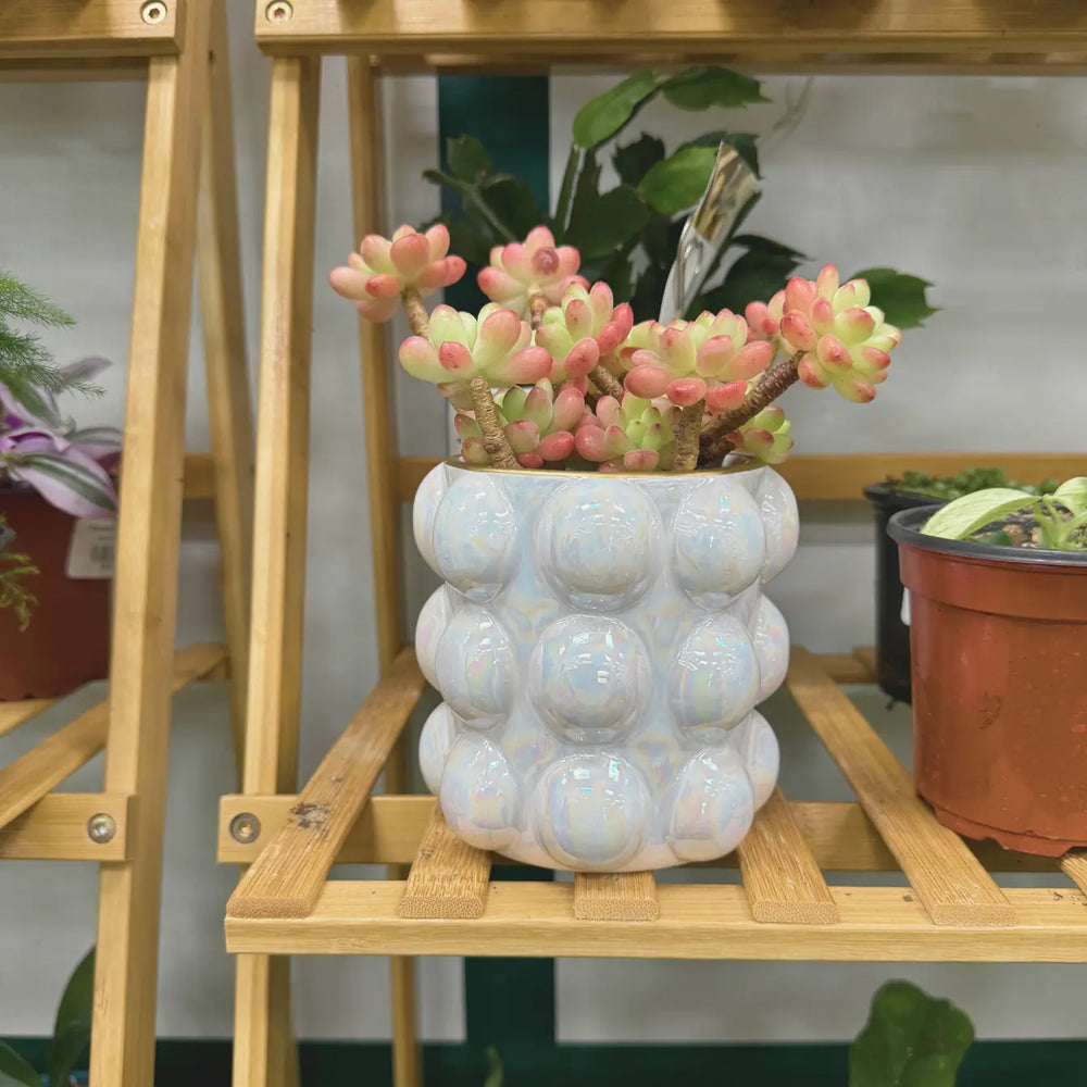 Glazed Bubble Planter