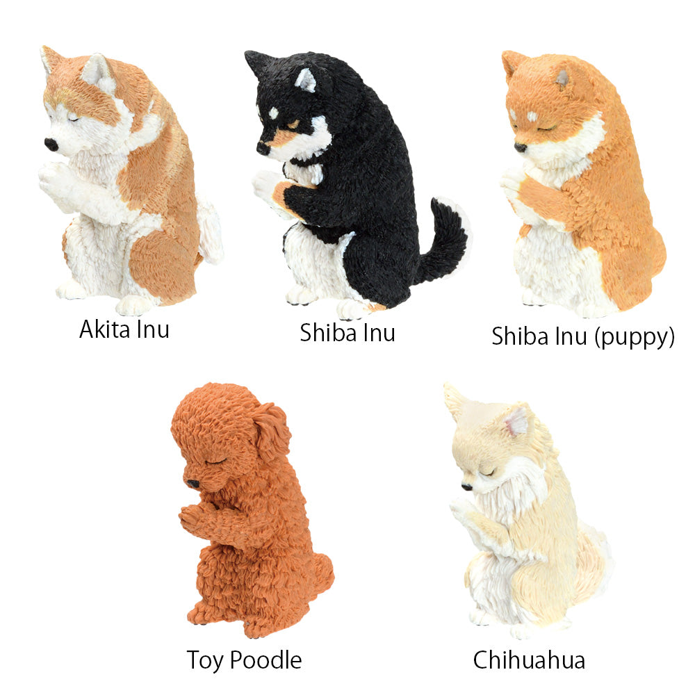 GASSHO Takumi Blind Box - Praying Puppy 1