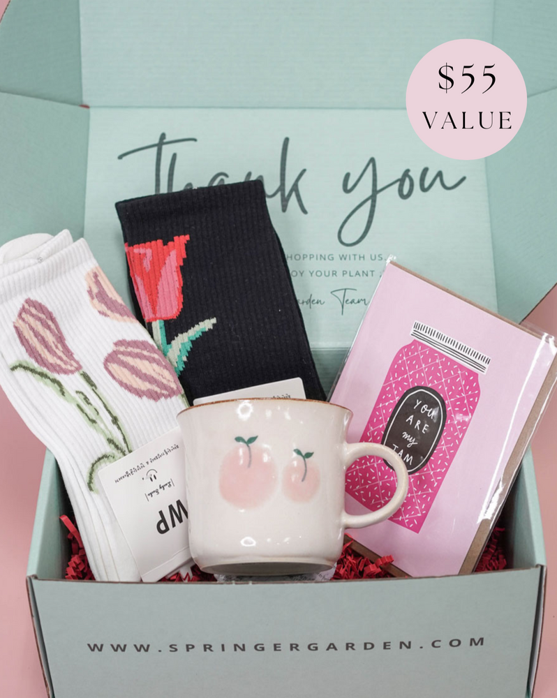 "Grow Your Love" Home Gift Box